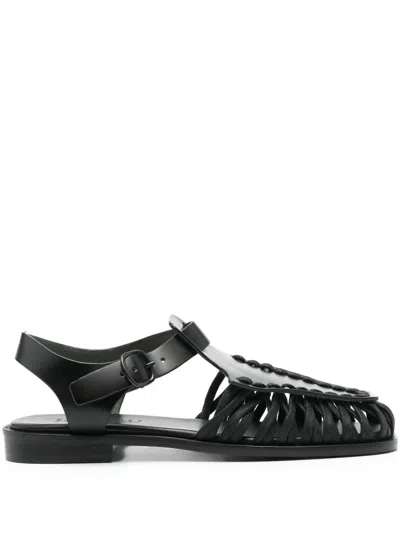 Hereu Wing Sandal In Black