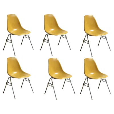 Pre-owned Herman Miller Eames  Dss Ochre Yellow Mustard Vintage Fiberglass Shell Chairs