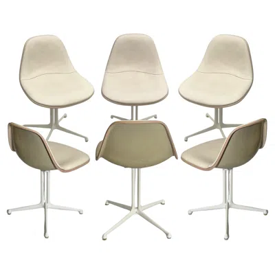 Pre-owned Herman Miller Series Of Six Chairs, By Charles Eames, Editions , Usa, Circa 1961 In Sand