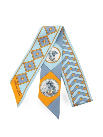Pre-owned Hermes 2000s Colliers Et Chiens Scarf In Blue