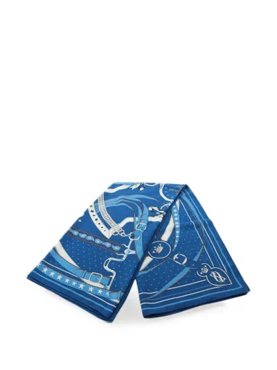 Pre-owned Hermes 2010s La Promenade Du Matin Scarf In Blue