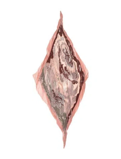 Pre-owned Hermes Aube Libre Comme L'ange Silk Plissé Scarf In Pink