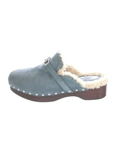 Pre-owned Hermes Carlotta Suede Mules In Blue