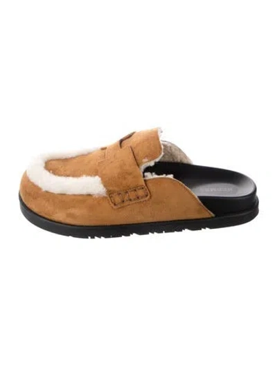 Pre-owned Hermes Chypre Suede Mules In Brown