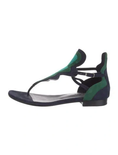 Pre-owned Hermes Garden Suede T-strap Sandals In Multi