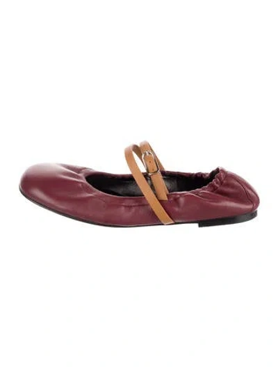 Pre-owned Hermes Jolly Calfskin Mary Jane Flats In Multi