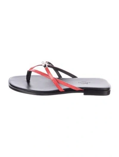 Pre-owned Hermes Miss Lizard Flip Flops W/ Tags In Black