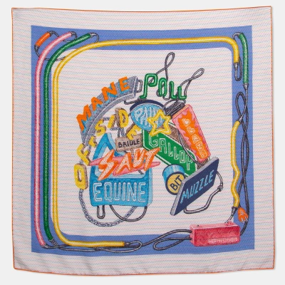 Pre-owned Hermes Multicolor Chevaloscope Neon Pointille Scarf