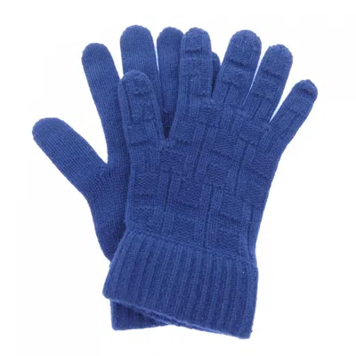 Pre-owned Hermes Navy Cashmere Warm Gloves ()