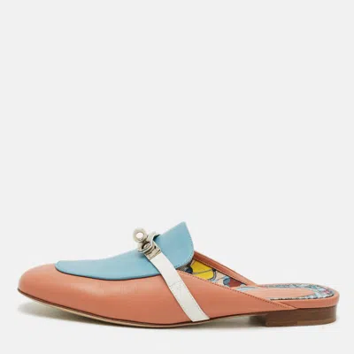 Pre-owned Hermes oz Size 39 Tricolor Leather Flat Mules In Blue