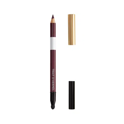 Hermes Trait D' Eye Color Pencil In 90 Raisin