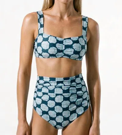 Hermoza Amara Bikini Top In Navy Shell Chest In Multi