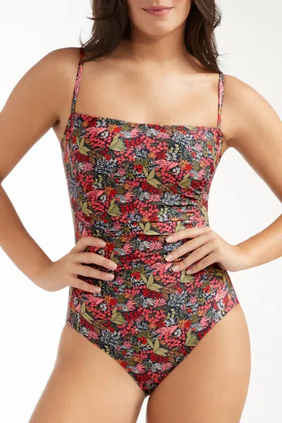 Hermoza Lupe One-piece Swimsuit In Indra In Brown