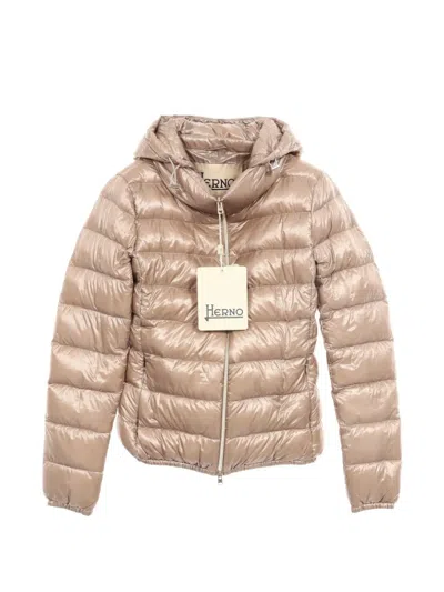 Pre-owned Herno 2020 Iconico Hooded Down Jacket In Neutrals