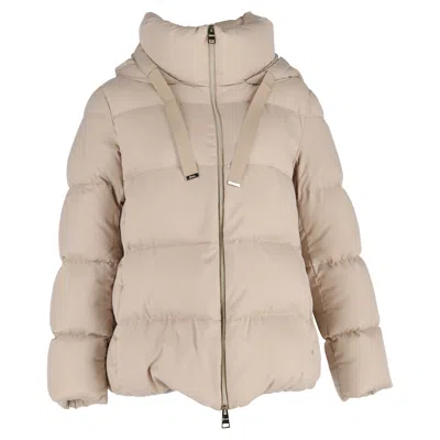 Herno Arendelle Down Jacket In Beige Polyamide In Gray