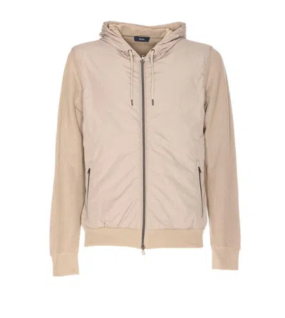 Herno Beige Cotton Down Jacket In Grey