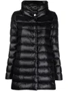 Herno Coats & Jackets In Black