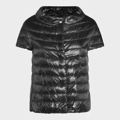 Herno Coats Blacks And Greys