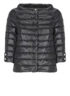 Herno Coats & Jackets