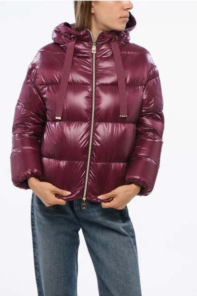 Herno Bomber Fit Down Jacket With Hood In Burgundy