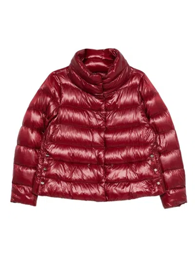 Herno Bordeaux High-collar Puffer Jacket With Cropped Fit In Red