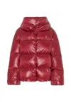 Herno Quilted Jacket In Animal Print