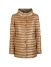 Herno Buttoned Coat In Brown