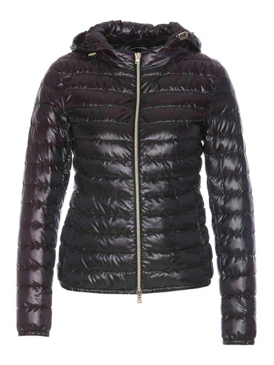 HERNO JACKET