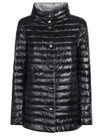 Herno Coat