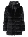 Herno Hooded Down Jacket In Black