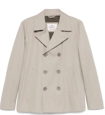 Herno Coats In Gray