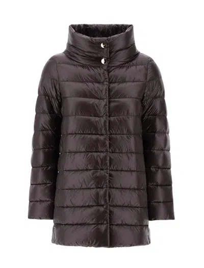 Herno Coats In Brown