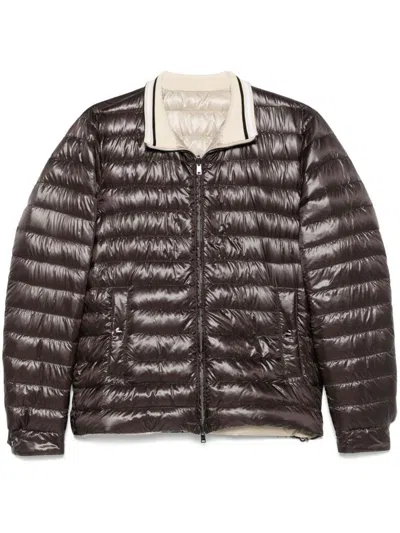 Herno Coats In Brown