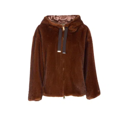 Herno Coats In Brown