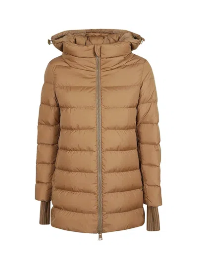 Herno Coats In Brown