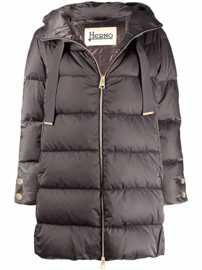 Herno Coats In Brown
