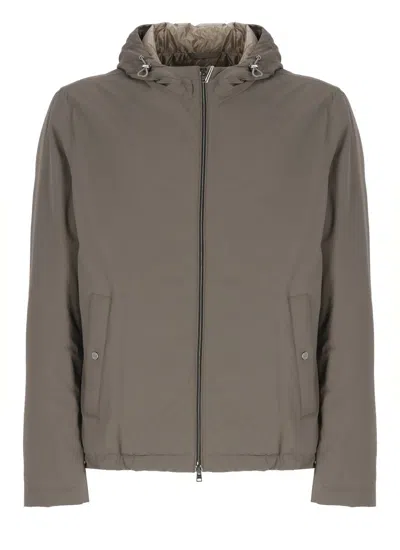 Herno Beige Waterproof Jacket With Adjustable Hood In Gray