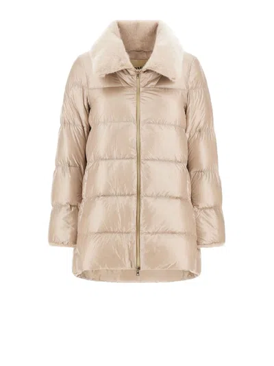 Herno Coats In Gray