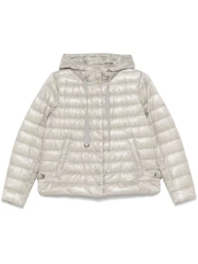 Herno Coats In Grey