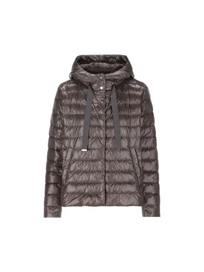 Herno Coats In Multicolor