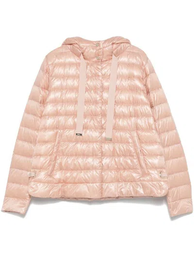 Herno Coats In Pink
