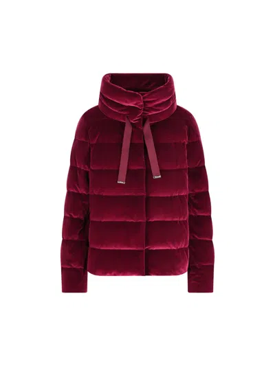Herno Quilted Long-sleeved Down Jacket In Burgundy