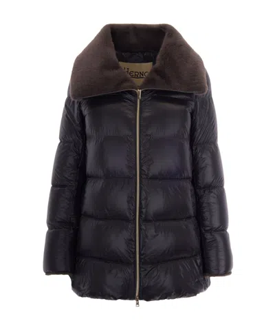 Herno Collared Padded Jacket In Black