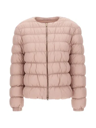 Herno Collarless Padded Jacket In Pink
