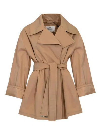Herno Cotton Gabardine Trench Coat In Brown