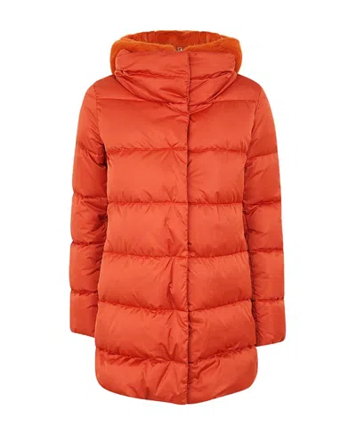 Herno Detachable-hood Padded Coat In Red