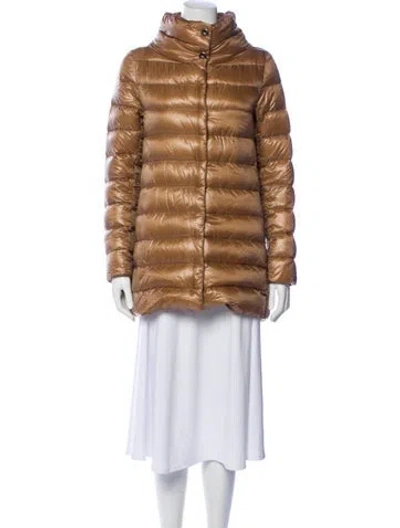 Pre-owned Herno Down Down Jacket In Brown
