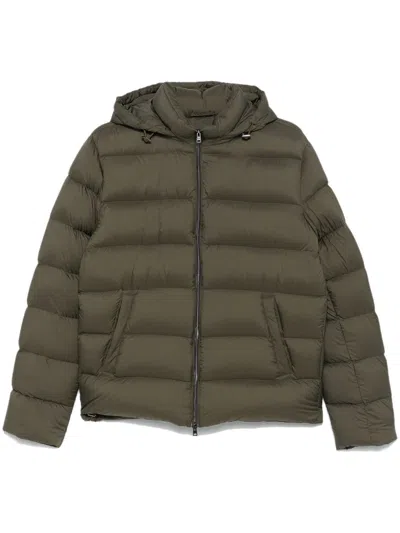 Herno Detachable-hood Jacket In Green