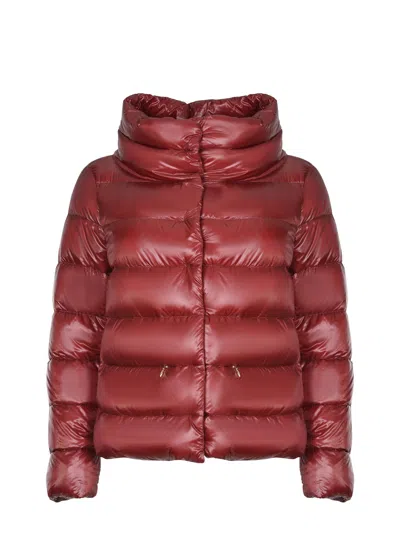 Herno Down Jacket In Brown