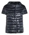 Herno Short-sleeved Down Jacket In Blue